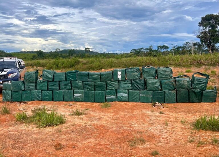 Polícia Militar registra aumento de 82% nas apreensões de drogas em um ano do programa Tolerância Zero