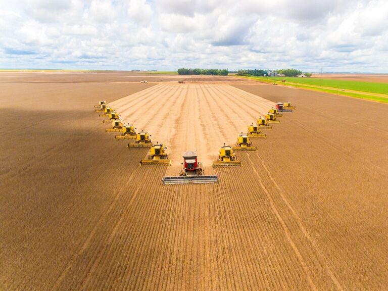 Campo Novo se consolida como potência do agro e figura no Top 4 nacional, revela ranking do MAPA