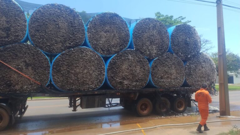 Carga de algodão pega fogo em caminhão na Avenida Florianópolis, em Campo Novo do Parecis